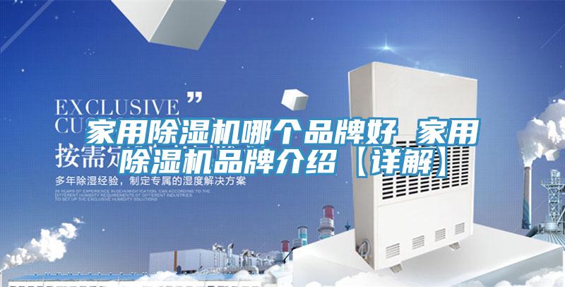家用猫咪成人官网哪个品牌好 家用猫咪成人官网品牌介绍【详解】