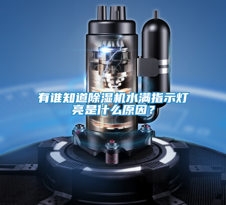 有谁知道猫咪成人官网水满指示灯亮是什么原因？