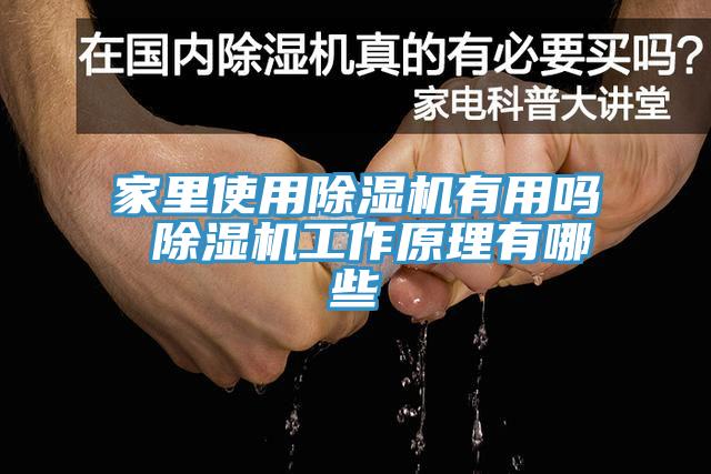 家里使用猫咪成人官网有用吗 猫咪成人官网工作原理有哪些