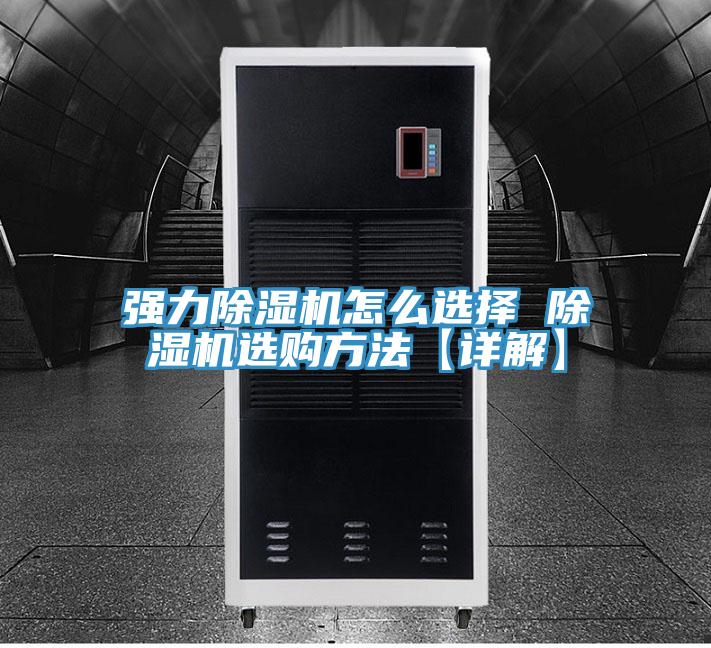 强力猫咪成人官网怎么选择 猫咪成人官网选购方法【详解】