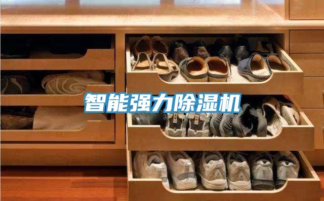 智能强力猫咪成人官网