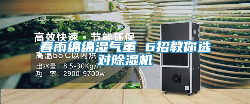 春雨绵绵湿气重 6招教你选对猫咪成人官网