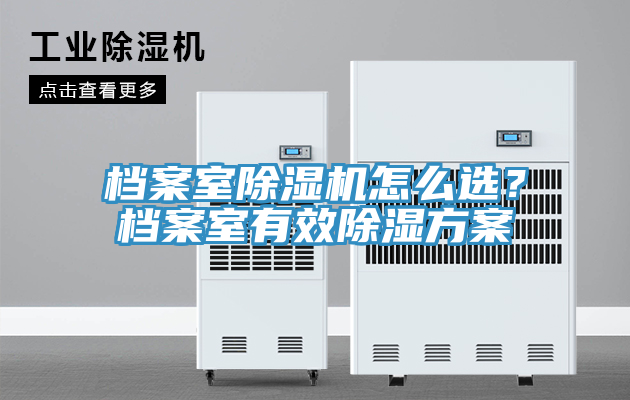 档案室猫咪成人官网怎么选？档案室有效除湿方案