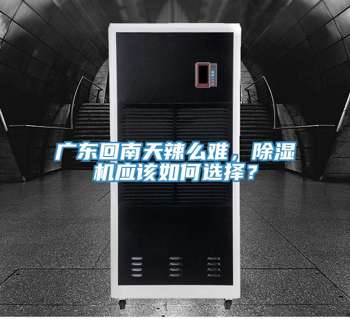 广东回南天辣么难，猫咪成人官网应该如何选择？