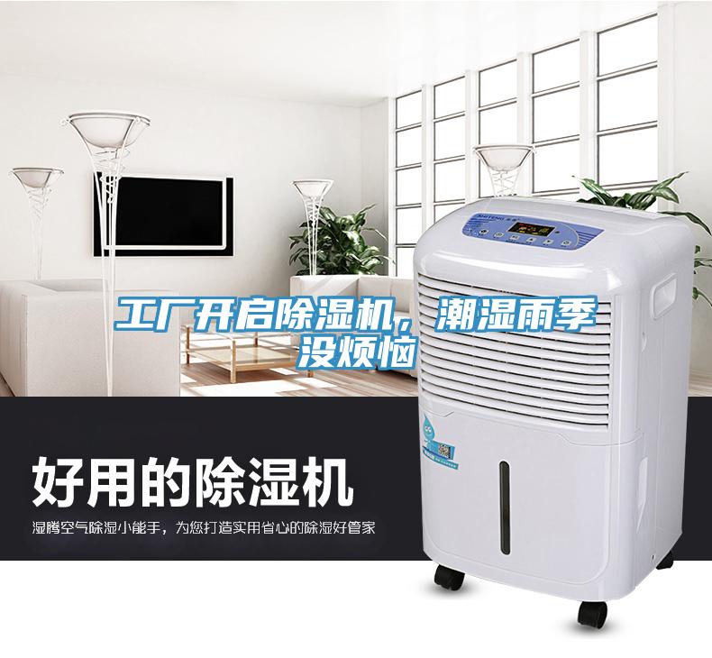 工厂开启猫咪成人官网，潮湿雨季没烦恼