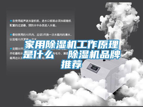 家用猫咪成人官网工作原理是什么  猫咪成人官网品牌推荐