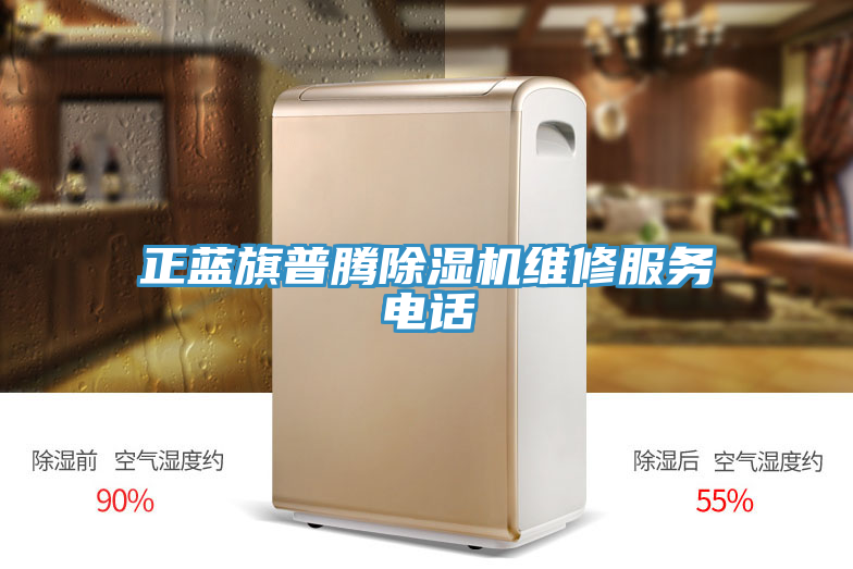 正蓝旗普腾猫咪成人官网维修服务电话