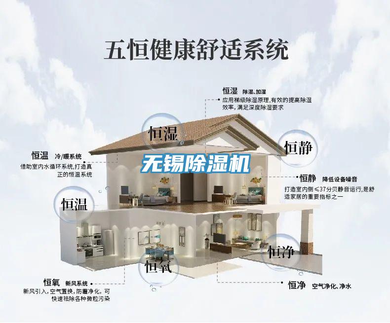 无锡猫咪成人官网