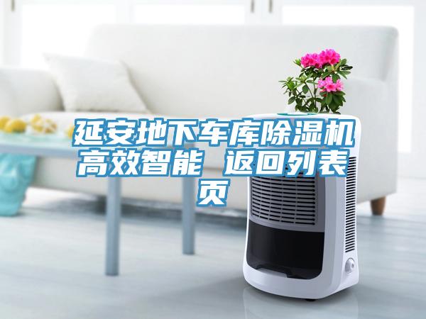 延安地下车库猫咪成人官网高效智能 返回列表页