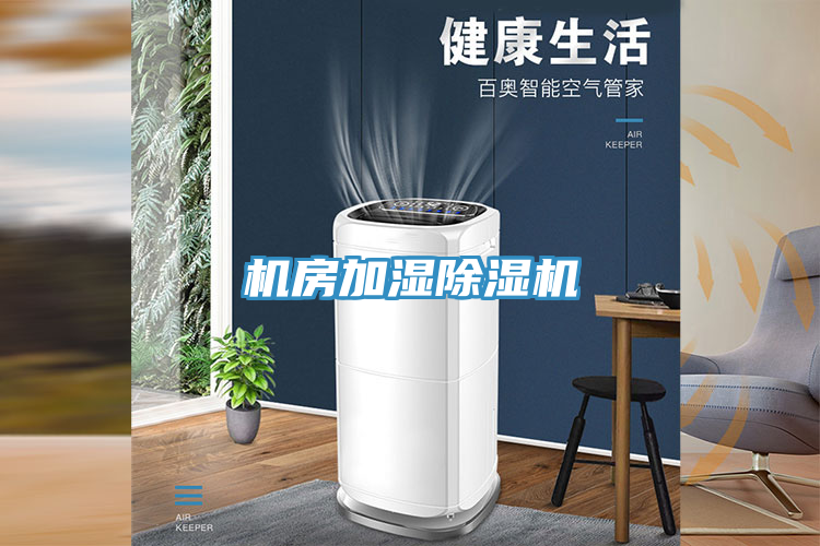 机房加湿猫咪成人官网