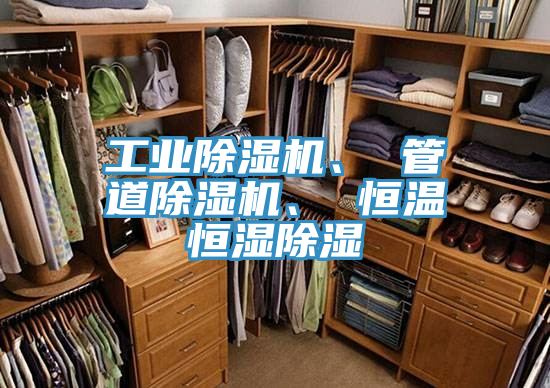 工业猫咪成人官网、 管道猫咪成人官网、 恒温恒湿除湿