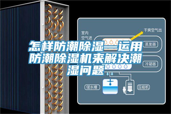 怎样防潮除湿—运用防潮猫咪成人官网来解决潮湿问题