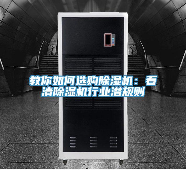 教你如何选购猫咪成人官网：看清猫咪成人官网行业潜规则