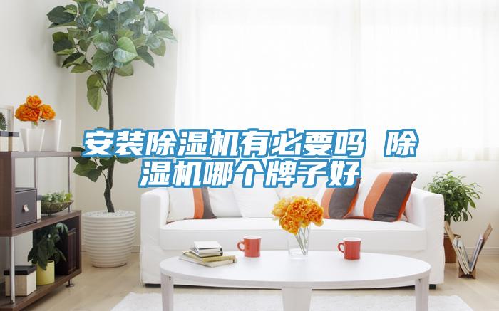 安装猫咪成人官网有必要吗 猫咪成人官网哪个牌子好