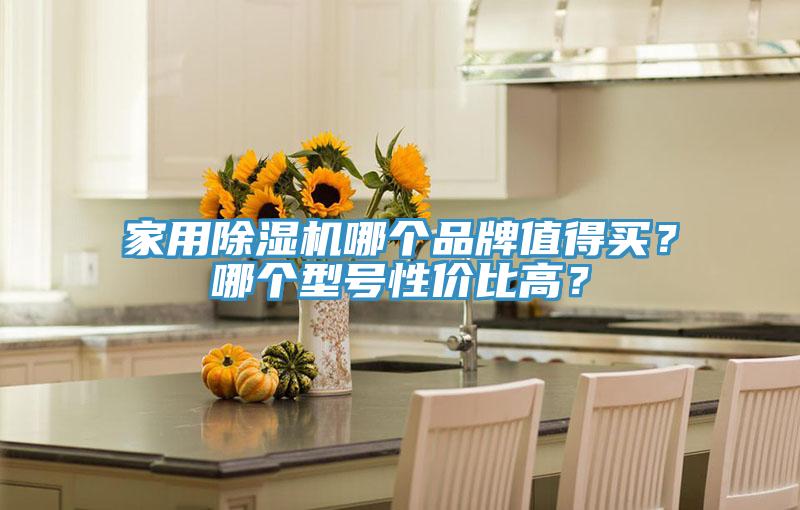 家用猫咪成人官网哪个品牌值得买？哪个型号性价比高？