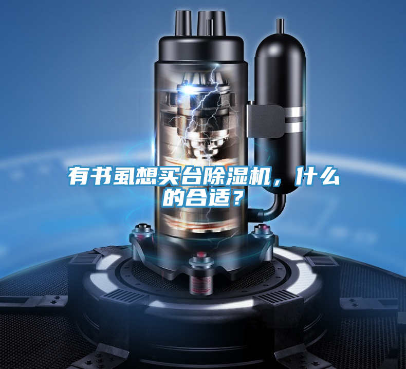 有书虱想买台猫咪成人官网，什么的合适？