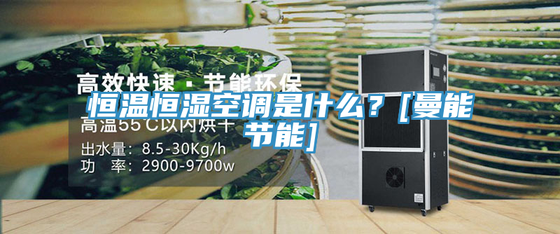 恒温恒湿空调是什么？[曼能节能]