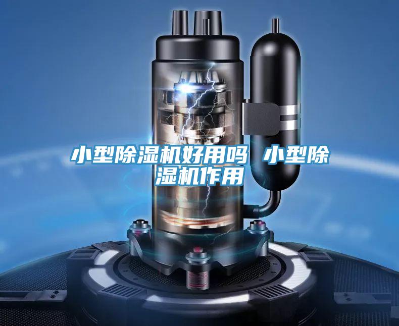 小型猫咪成人官网好用吗 小型猫咪成人官网作用