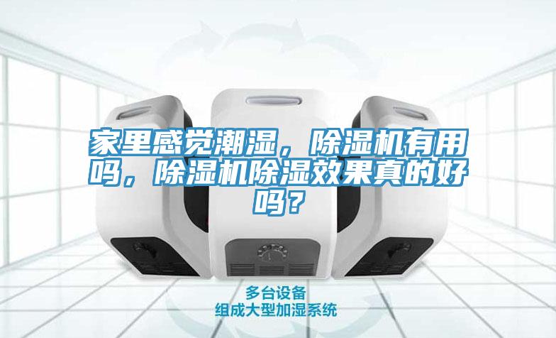 家里感觉潮湿，猫咪成人官网有用吗，猫咪成人官网除湿效果真的好吗？