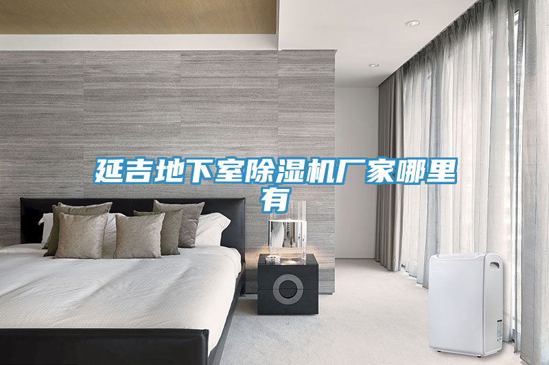 延吉地下室猫咪成人官网厂家哪里有
