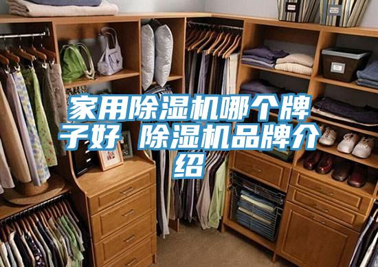 家用猫咪成人官网哪个牌子好 猫咪成人官网品牌介绍