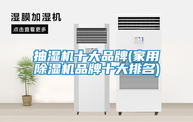 抽湿机十大品牌(家用猫咪成人官网品牌十大排名)