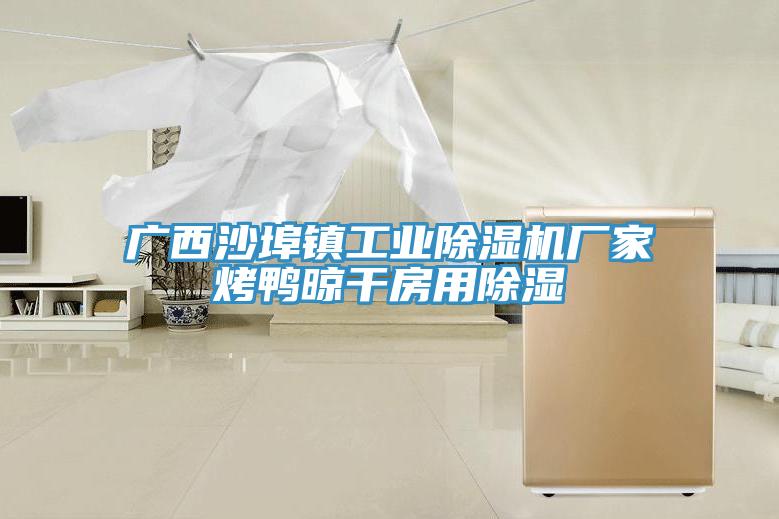 广西沙埠镇工业猫咪成人官网厂家烤鸭晾干房用除湿