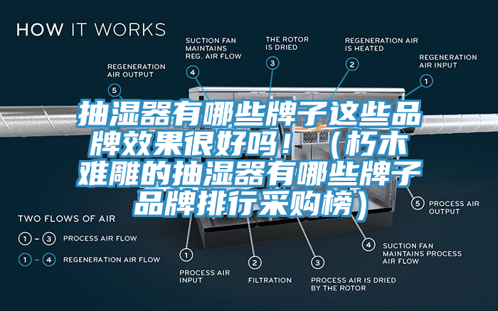 抽湿器有哪些牌子这些品牌效果很好吗！（朽木难雕的抽湿器有哪些牌子品牌排行采购榜）