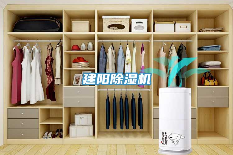 建阳猫咪成人官网