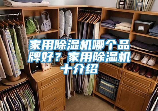 家用猫咪成人官网哪个品牌好？家用猫咪成人官网十介绍