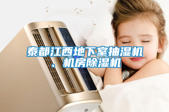 泰都江西地下室抽湿机、机房猫咪成人官网
