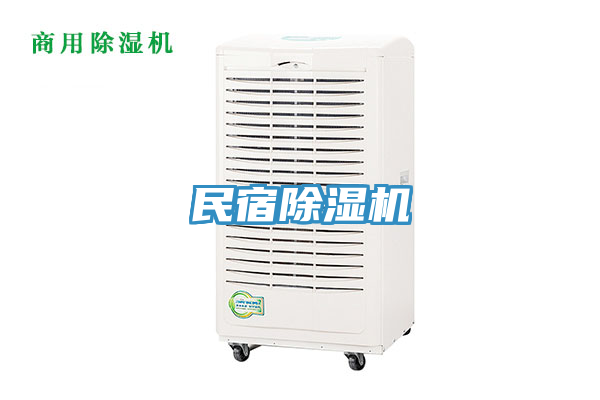 民宿猫咪成人官网