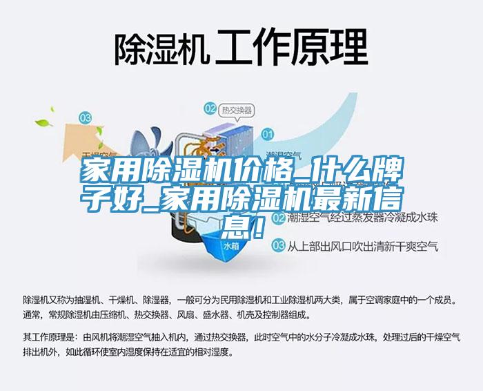 家用猫咪成人官网价格_什么牌子好_家用猫咪成人官网最新信息！