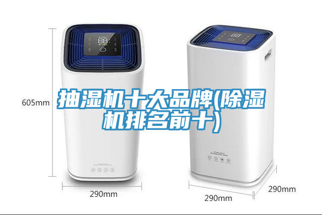 抽湿机十大品牌(猫咪成人官网排名前十)