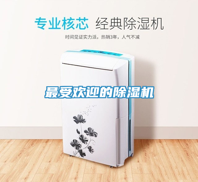 最受欢迎的猫咪成人官网