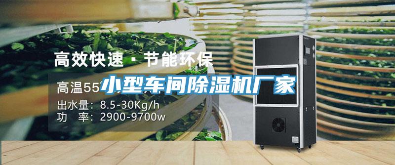 小型车间猫咪成人官网厂家
