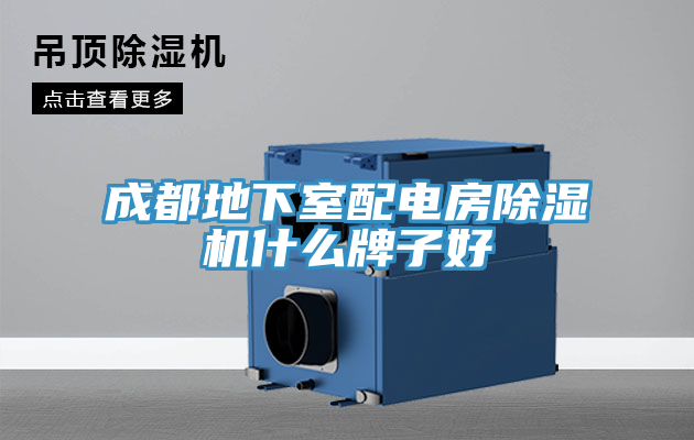成都地下室配电房猫咪成人官网什么牌子好