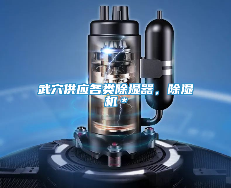 武穴供应各类除湿器，猫咪成人官网＊