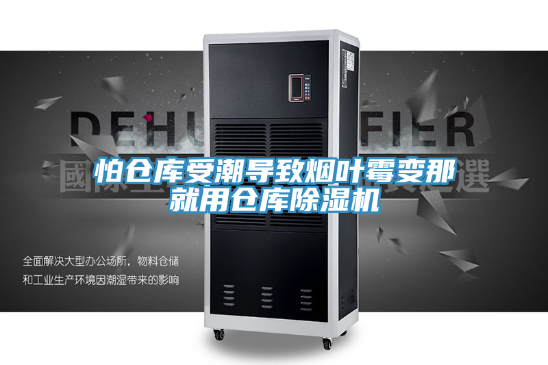怕仓库受潮导致烟叶霉变那就用仓库猫咪成人官网