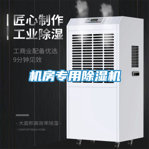 机房专用猫咪成人官网