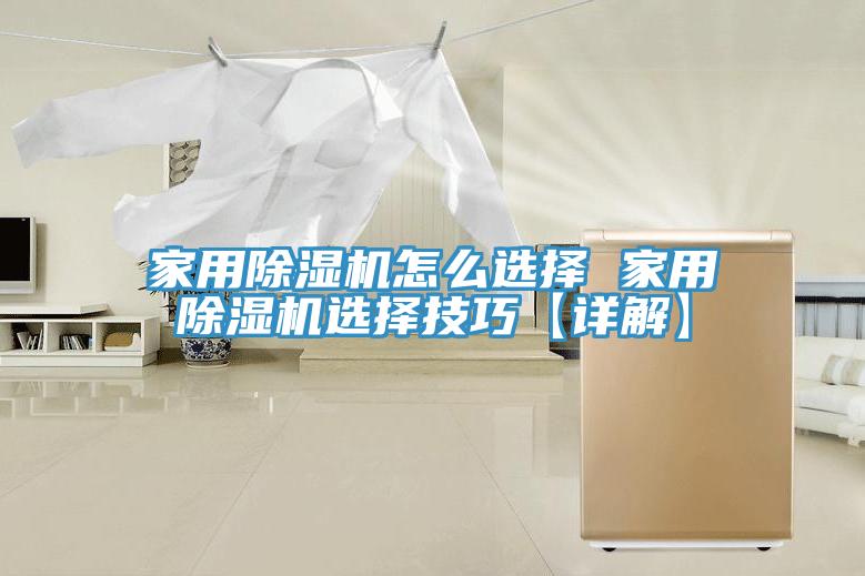 家用猫咪成人官网怎么选择 家用猫咪成人官网选择技巧【详解】