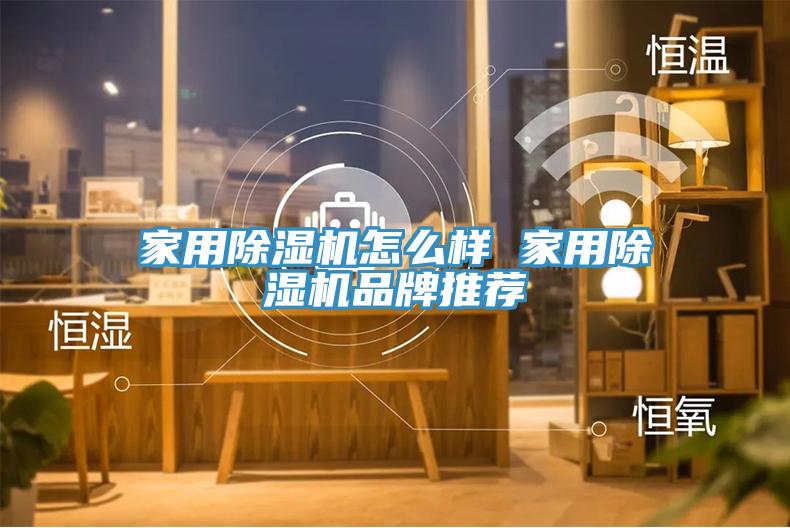 家用猫咪成人官网怎么样 家用猫咪成人官网品牌推荐