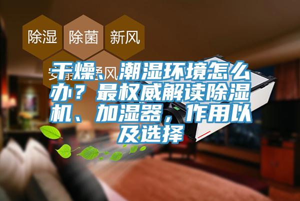 干燥、潮湿环境怎么办？最权威解读猫咪成人官网、加湿器，作用以及选择