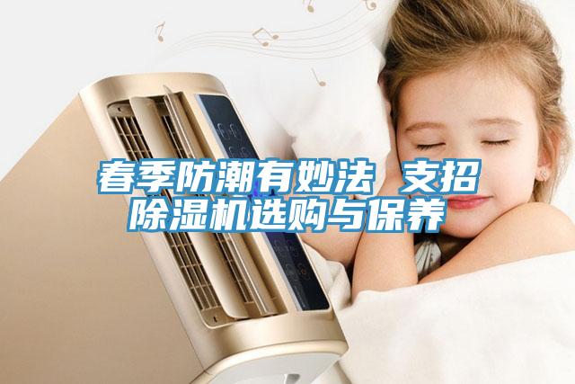 春季防潮有妙法 支招猫咪成人官网选购与保养