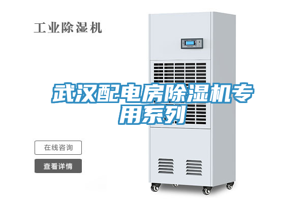 武汉配电房猫咪成人官网专用系列