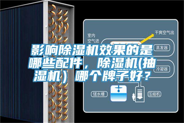 影响猫咪成人官网效果的是哪些配件，猫咪成人官网(抽湿机）哪个牌子好？