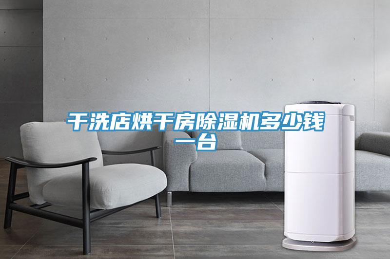 干洗店烘干房猫咪成人官网多少钱一台
