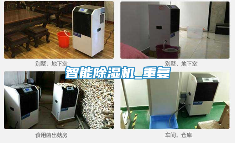智能猫咪成人官网_重复