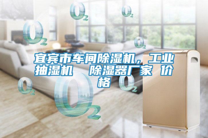 宜宾市车间猫咪成人官网，工业抽湿机  除湿器厂家 价格