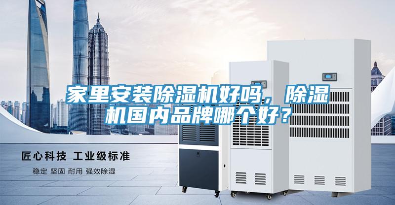 家里安装猫咪成人官网好吗，猫咪成人官网国内品牌哪个好？